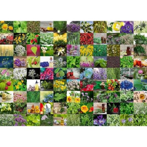 Puzzle 99 De Plante Si Condimente, 1000 Piese - imagine 7